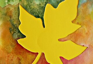 Żółty liść klonu na kolorowym tle
