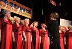 XIV Festiwal Chórów, Kabaretów i Zespołów Seniora