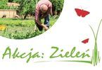 Akcja: Zieleń