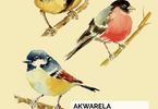 Akwarela: Sikorki i inne zimujące u nas ptaki