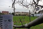 Gałęzie drzew. W tle budynki.