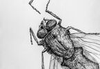 Grafika przedstawiająca robaka
