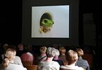 Zdjęcie żaby wyglądającej przez otwór, przed publiczność