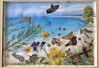 Obrazek w jasnej ramie z kompozycją z suszonych kwiatów, ziół i traw