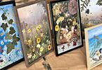 Pięć obrazków w ramkach z kompozycjami z suszonych kwiatów, ziół i traw