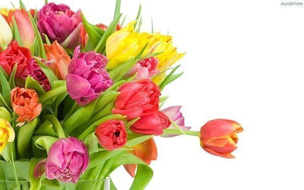 Radość na Zaciszu!